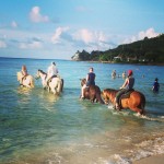 Horseback Riding on the Beach St Croix