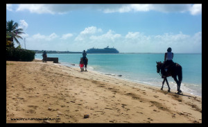 Horseback riding on the beach in St Croix